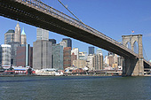 New York si costituisce di 5 grandi distretti.